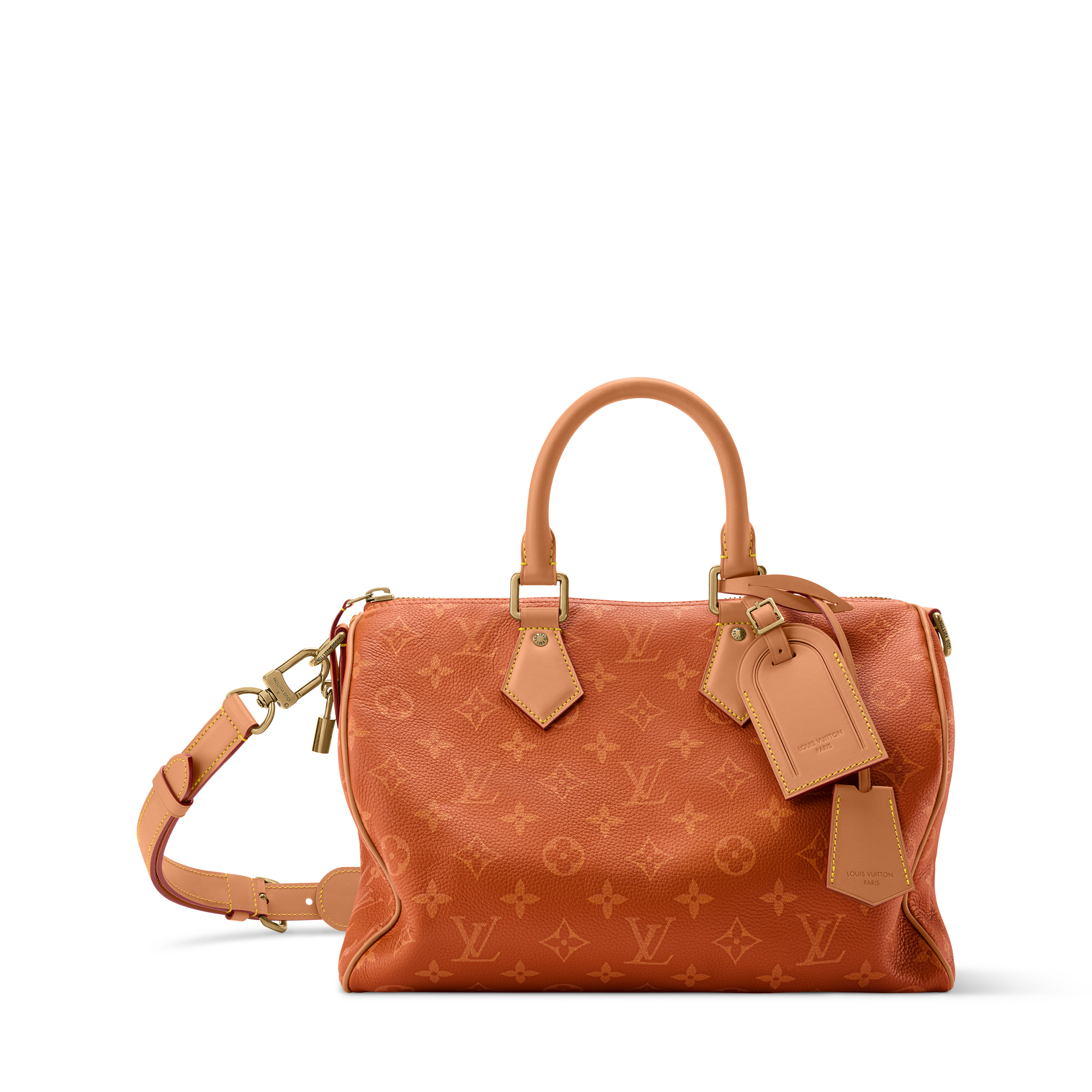 Speedy P9 Bandoulière 30 H40 - Les Extraordinaires - Leather Goods